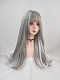 Evahair Grey and White Mixed Color Long Straight Synthetic Wig with Bangs