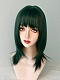 Evahair 2021 New Style Green Shoulder Length Straight Synthetic Wig with Bangs