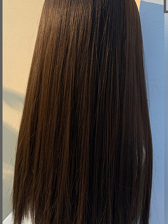 Evahair 2021 New Style Brown and Side Blonde Long Straight Synthetic Wig with Bangs