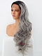 EvaHair Best Seller Hot Grey/Silver Ombre Wavy Long Synthetic Lace Front Wig