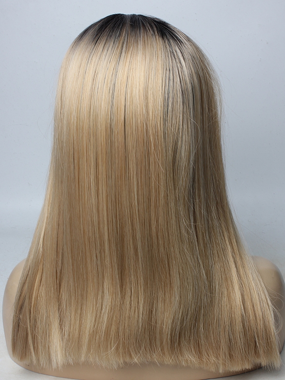 EvaHair Brown T color Medium Length Synthetic Lace Front Wig