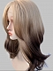 Preorder--Evahair 2021 New Style Blonde to Brown Ombre Medium Straight Synthetic Lace Front Wig