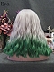 Evahair Grey to Green Medium Length Wavy Synthetic Lace Front wig