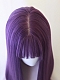 Evahair 2021 New Style Cool Purple Long Straight Synthetic Wig with Bangs