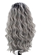 Evahair Fashion Style Black and grey Long curly Synthetic Wig