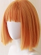 Evahair Three Colors Selective Short Straight Synthetic Wig with Bangs Package