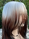 Preorder--Evahair 2021 New Style Silver to Brown Ombre Medium Straight Synthetic Lace Front Wig