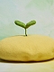 Kawaii Green Bean Sprout Mori Beret Hat