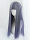 Evahair Grey and Purple Mixed Color Long Straight Synthetic Wig with Bangs