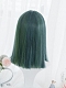 Evahair Blue and Green Mixed Color Medium Length Straight Synthetic Wig with Bangs