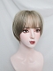 Evahair 2021 New Style Mint Grey Short Straight Synthetic Wig with Bangs
