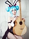 Evahair cute and sexy Bunny Girl style Miku cosplay costume