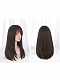 Evahair Dark Brown Long Straight Synthetic Wig with Bangs