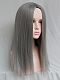 Evahair 2021 New Style Silvery Grey Long Straight Synthetic Wig