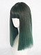 Evahair Dark Green Medium Length Straight Synthetic Wig with Bangs