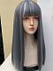 Evahair 2021 New Style Blue and Grey Mixed Color Long Straight Synthetic Wig with Bangs