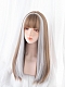 Evahair 2021 New Style Brown and Silver Long Straight Synthetic Wig with Bangs