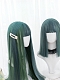 Evahair Blue and Green Mixed Color Long Straight Synthetic Wig with Bangs